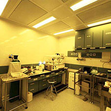 深圳卓石代怀有限公司感恩回馈现场